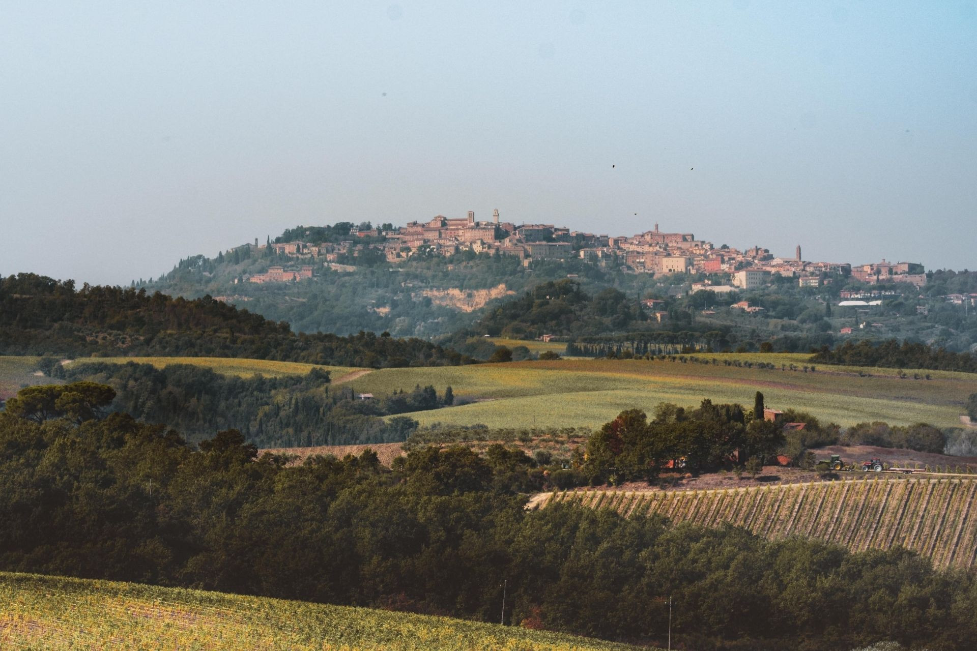 Waiting for autumn in Valdichiana Senese