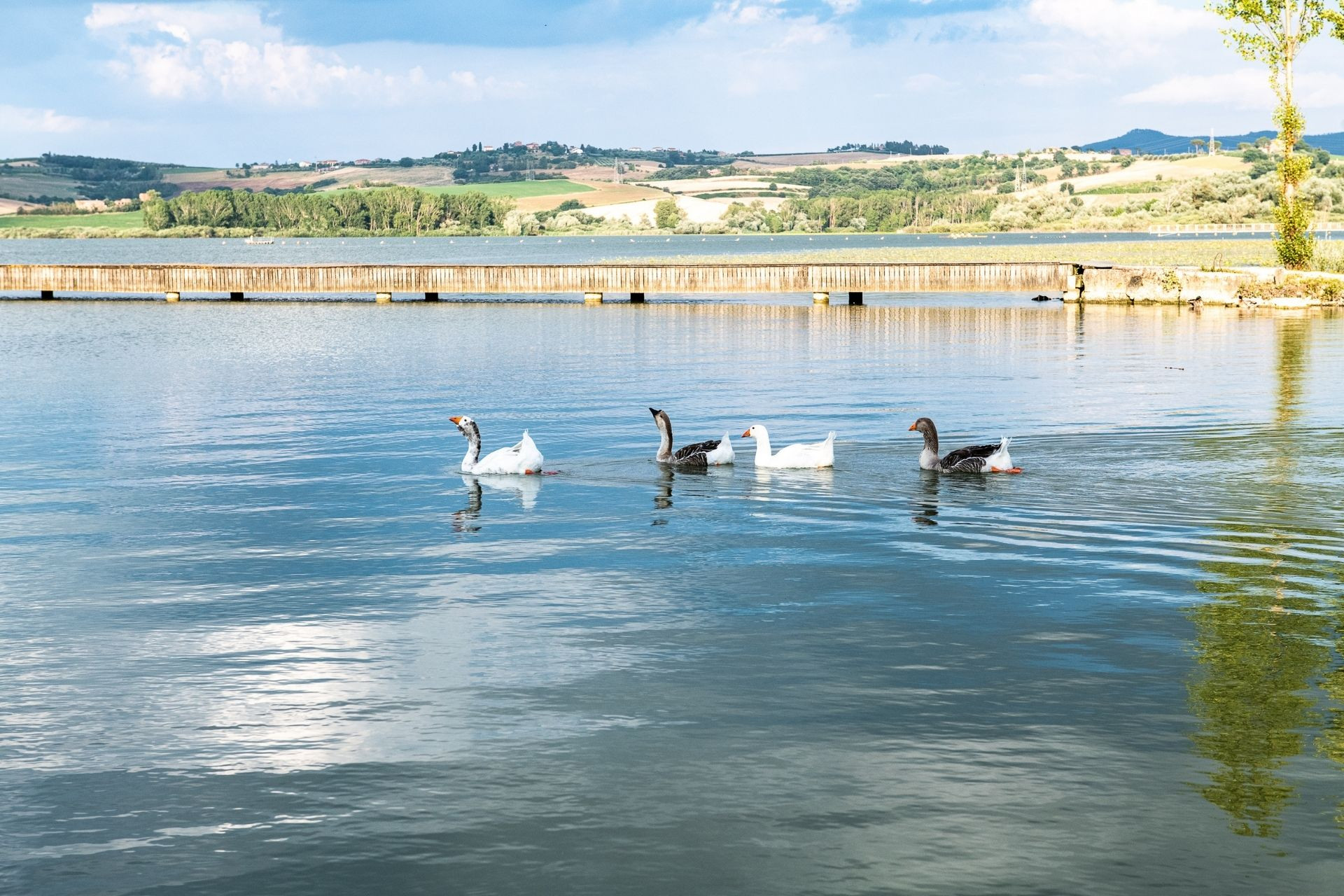 Spring in Valdichiana Senese