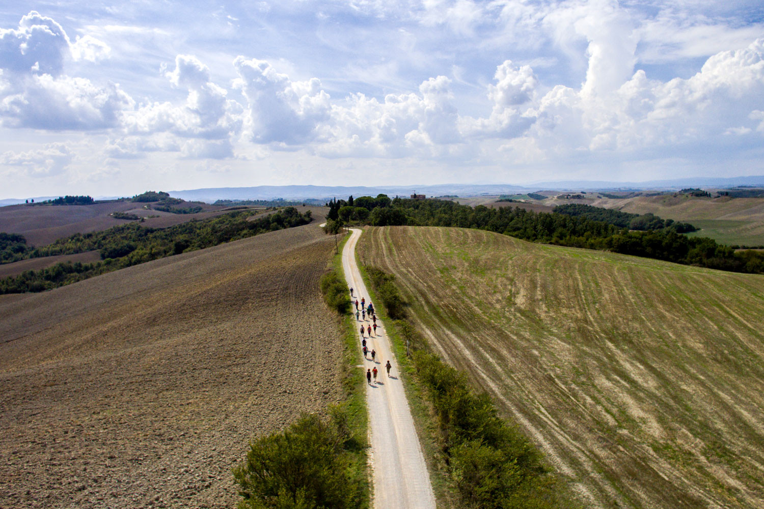 I cammini toscani: visitare a piedi la  Valdichiana Senese