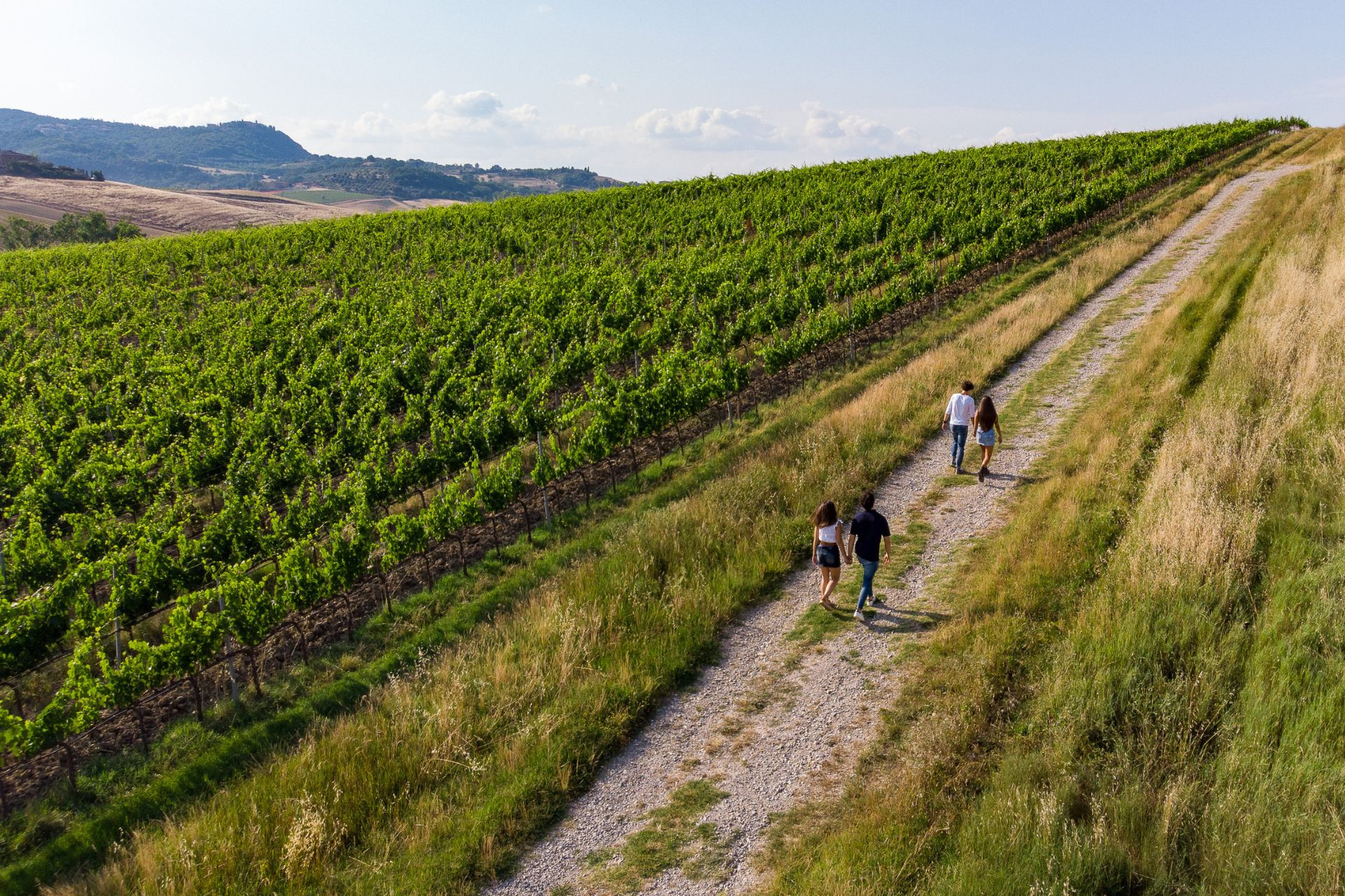 Valdichiana Senese e turismo enogastronomico: un legame sempre più forte. Il Rapporto sul turismo enogastronomico italiano 2022 lo conferma