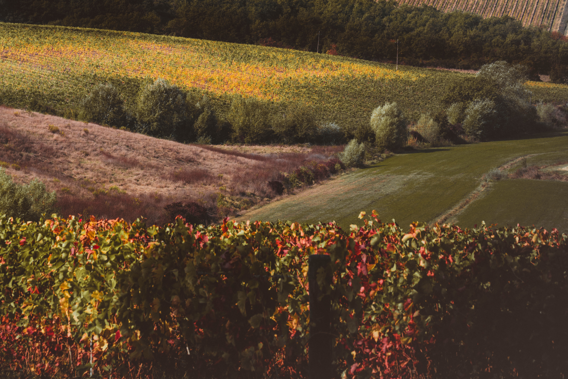 Tra colori, borghi e sapori dell’autunno