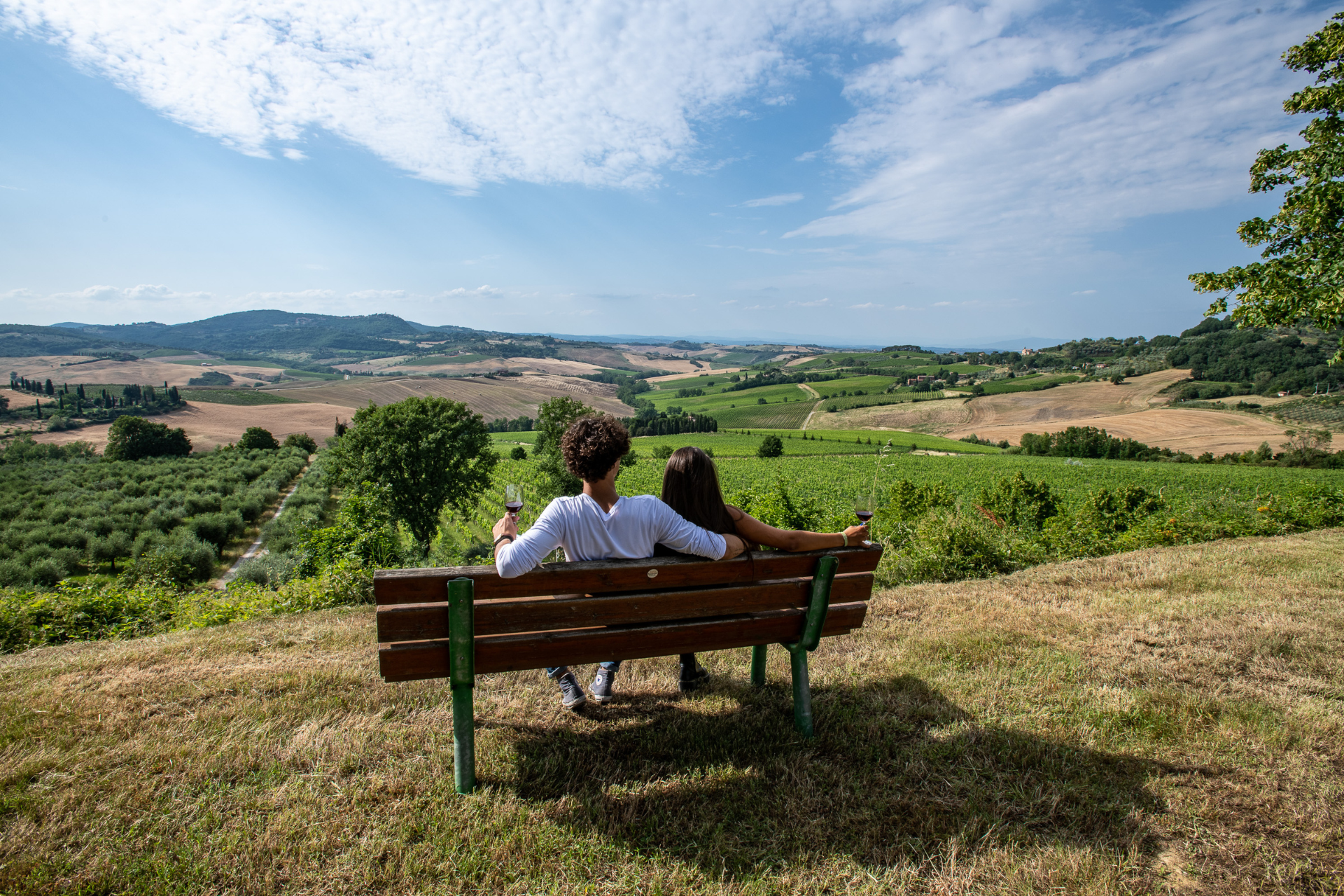 The Silent Summer of the Valdichiana Senese