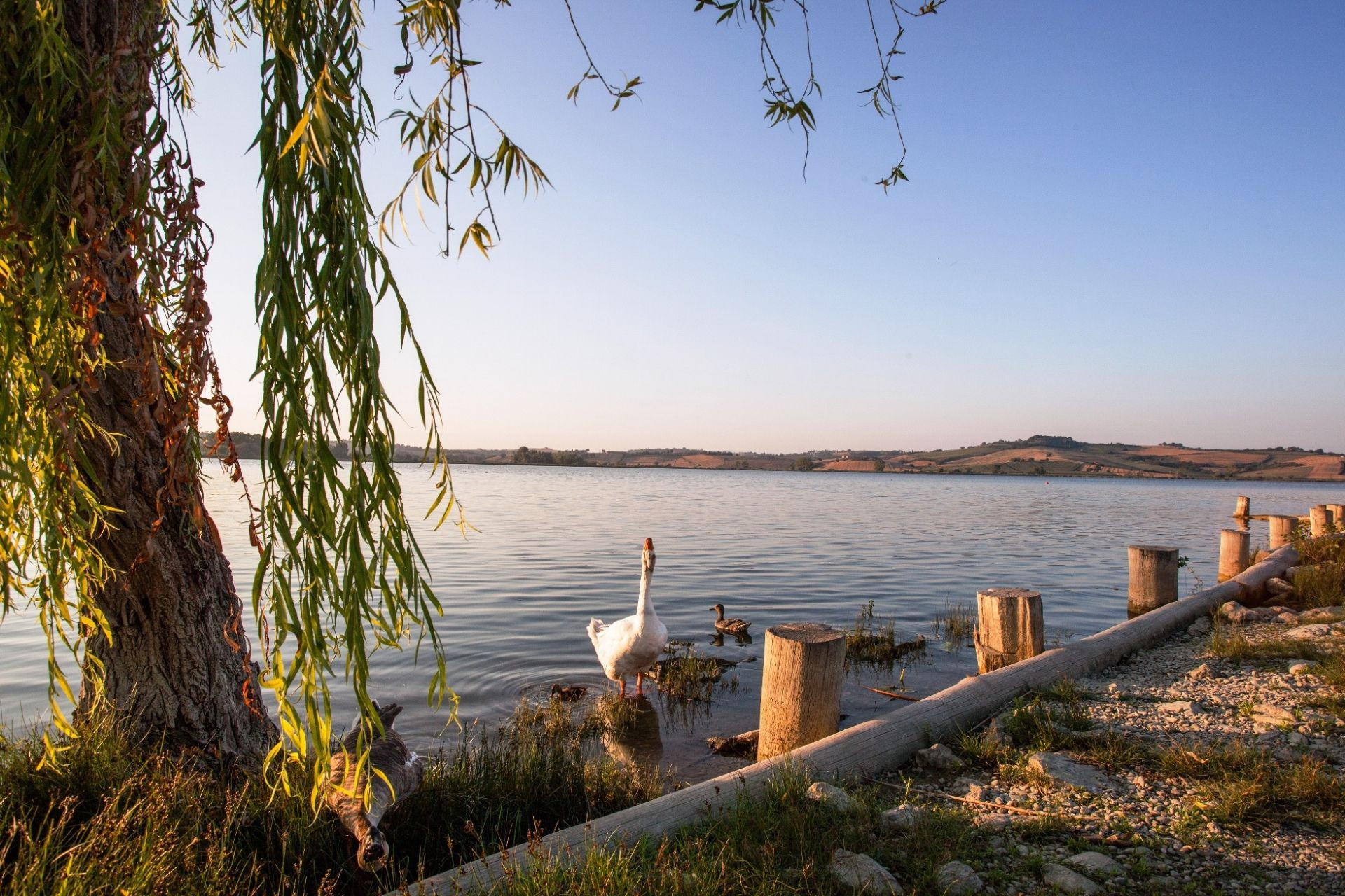 Lake Chiusi: 5 good reasons to visit