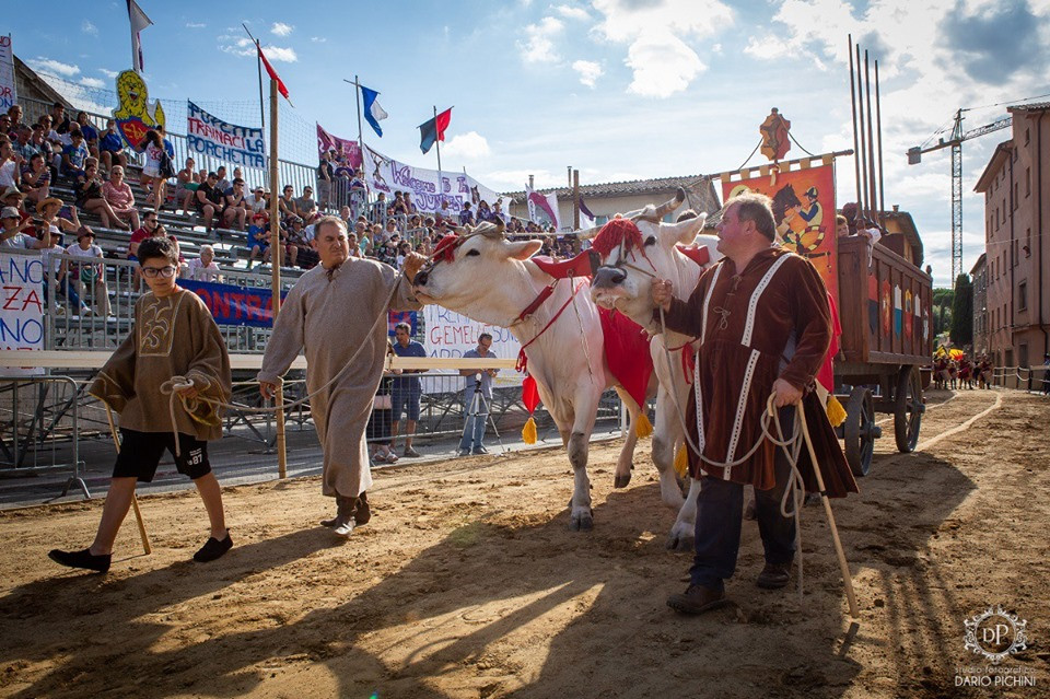 Quella strana magia della Giostra del Saracino a Sarteano