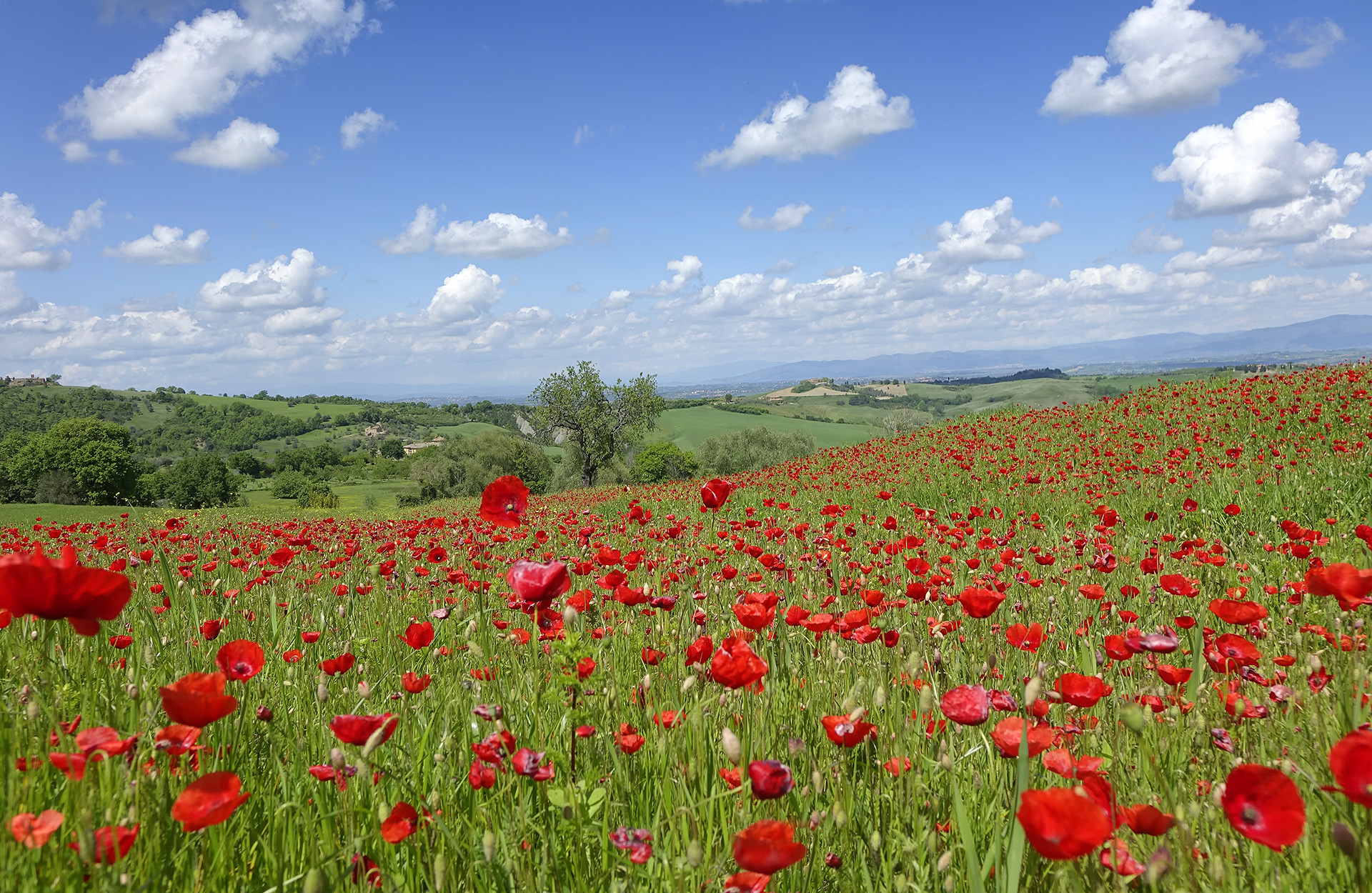 La Valdichiana senese è "paradiso del benessere Italiano"