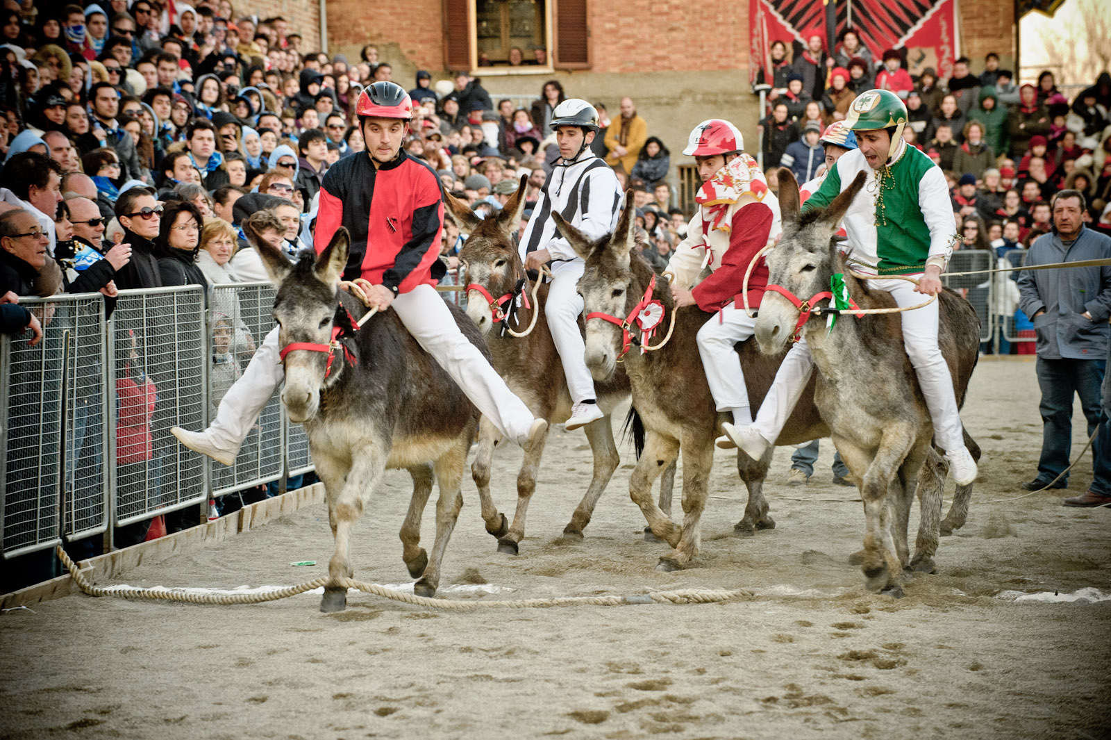 Il Palio dei Somari di Torrita di Siena:  l'evento che unisce una comunità