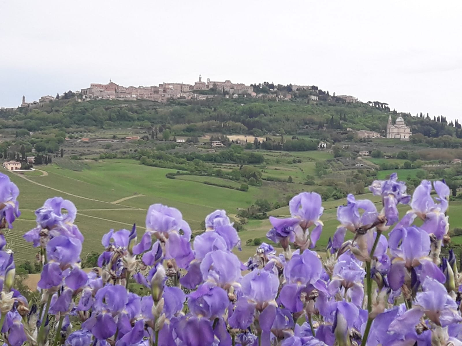 Gita fuori porta in Valdichiana Senese? Segui i consigli dei local travel experts