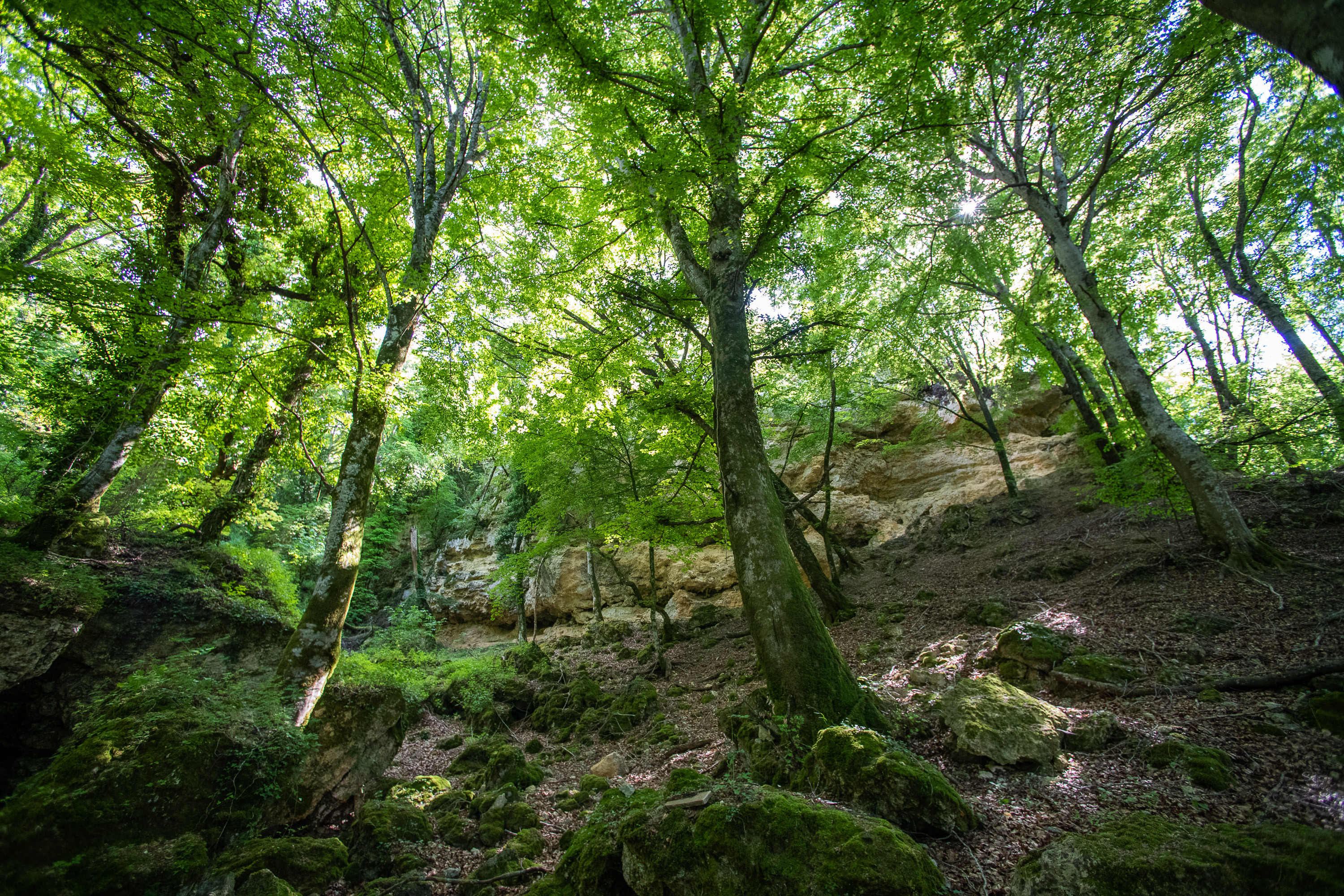 Alla scoperta della bellezza infinita della Valdichiana Senese: riserve naturali, parchi e boschi.